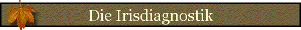 Die Irisdiagnostik