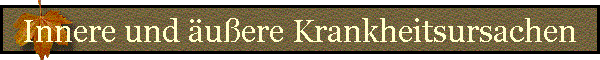 Innere und uere Krankheitsursachen